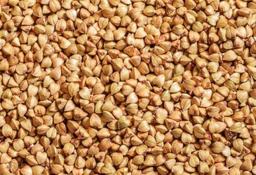 Запрет на экспорт гречки